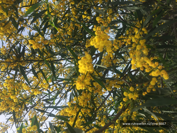 photo 1613653