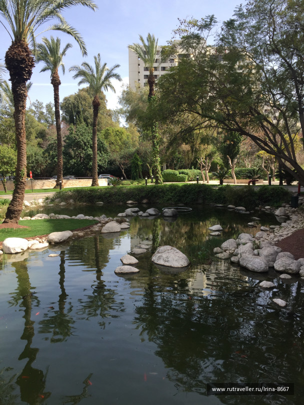 photo 1613669