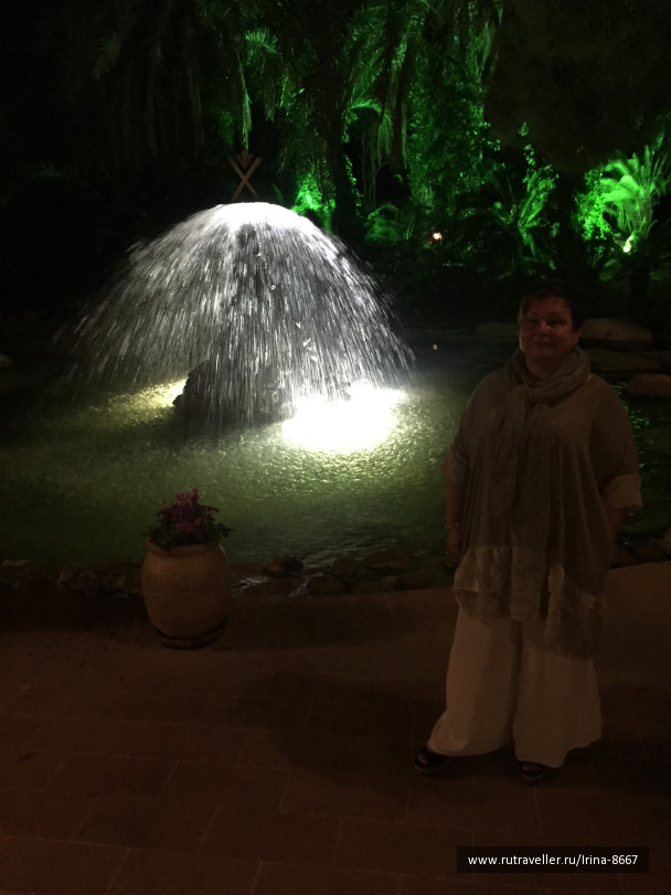photo 1614584