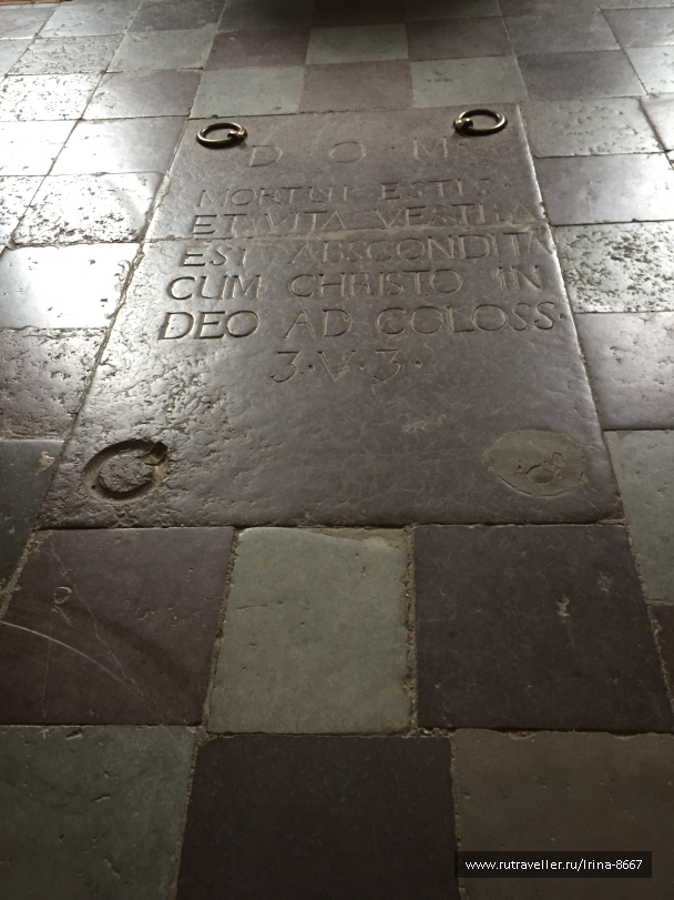 photo 1647385
