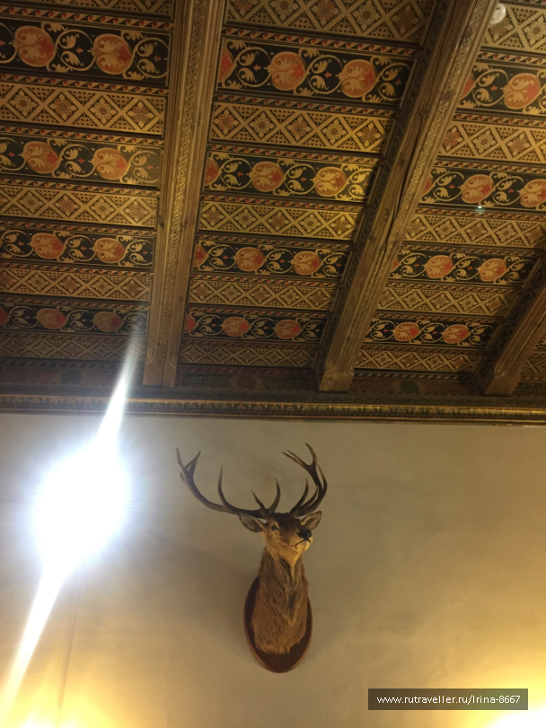 photo 1647343