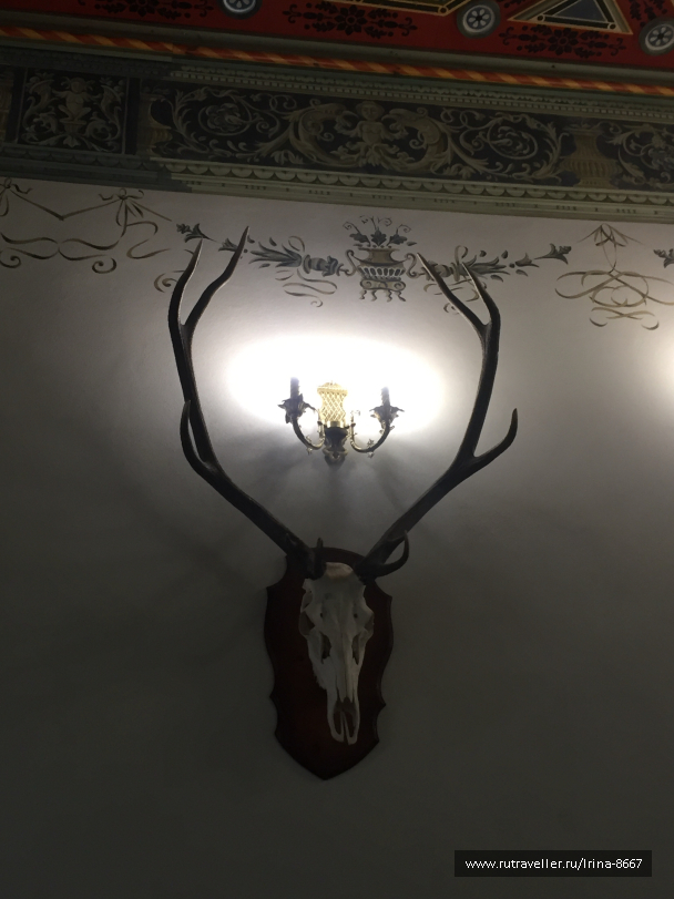 photo 1647340