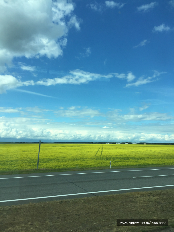photo 1647335
