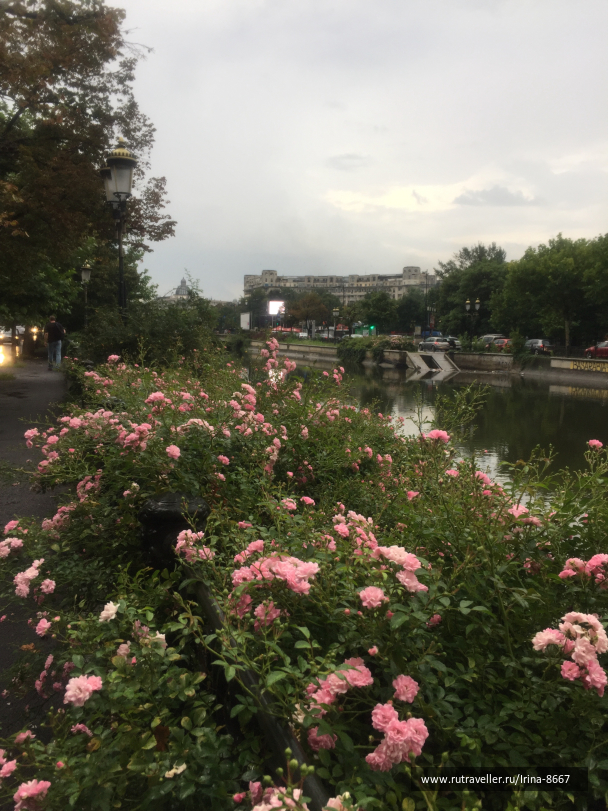 photo 1663052