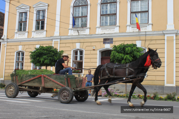 photo 1668116