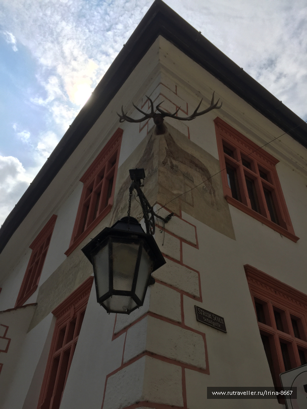 photo 1668151