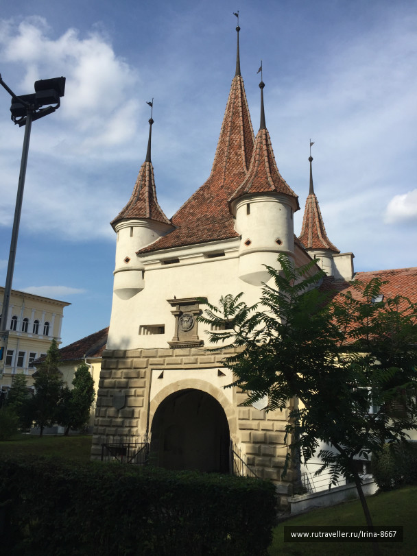 photo 1668193