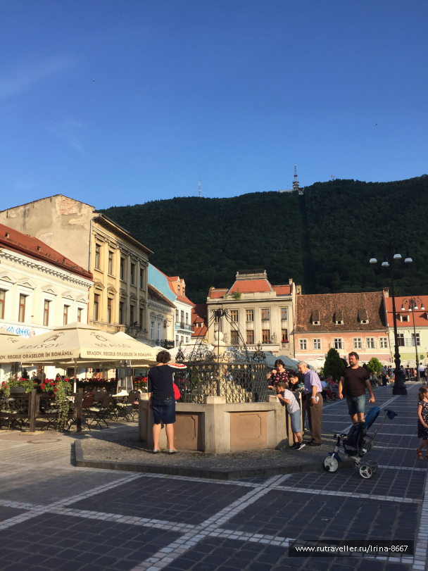 photo 1668185