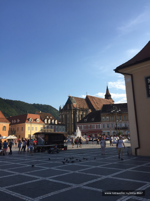 photo 1668184