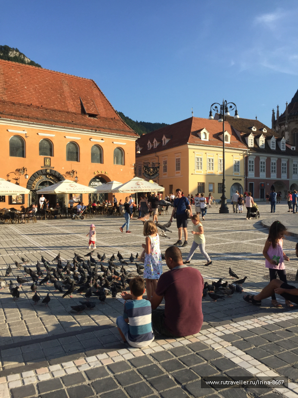 photo 1668182