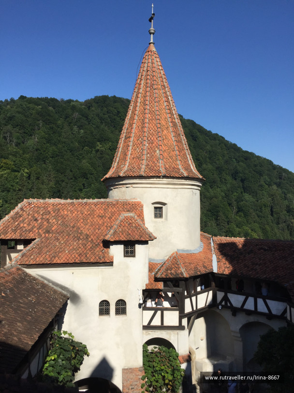 photo 1668168