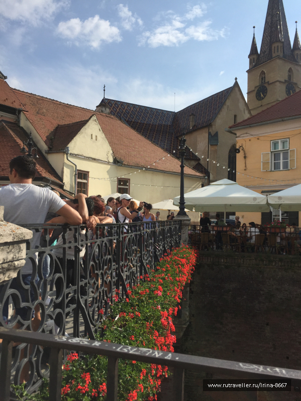 photo 1669855