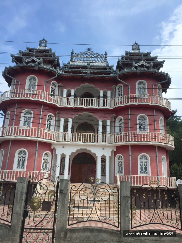 photo 1669841