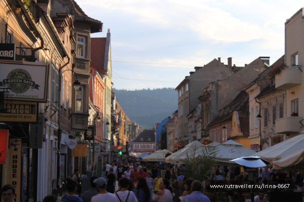 photo 1669878