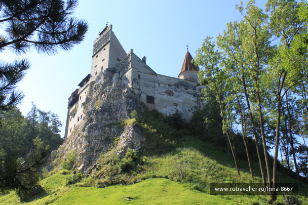 photo 1671419