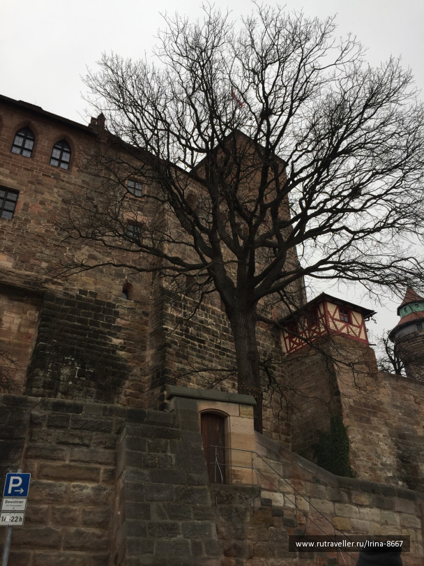 photo 1729270