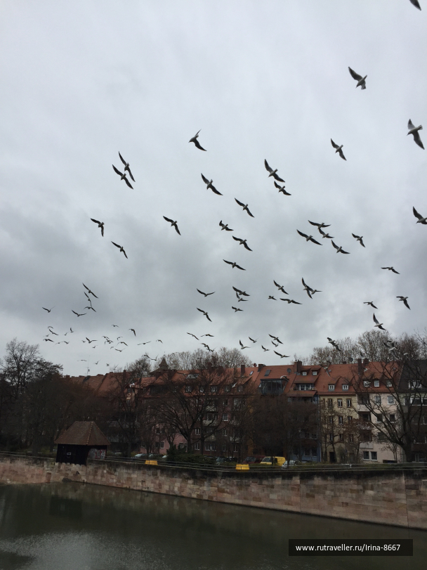 photo 1729296