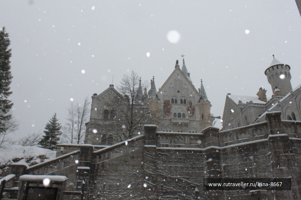 photo 1729777