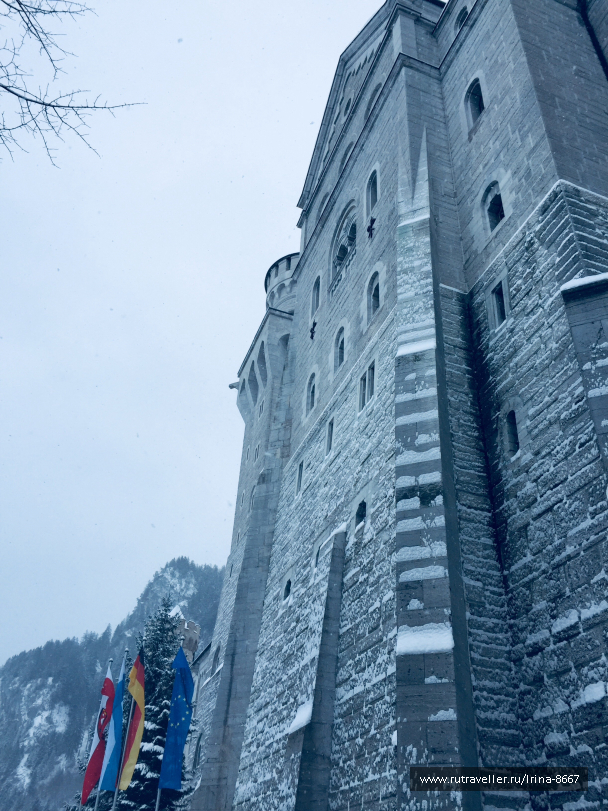 photo 1729949