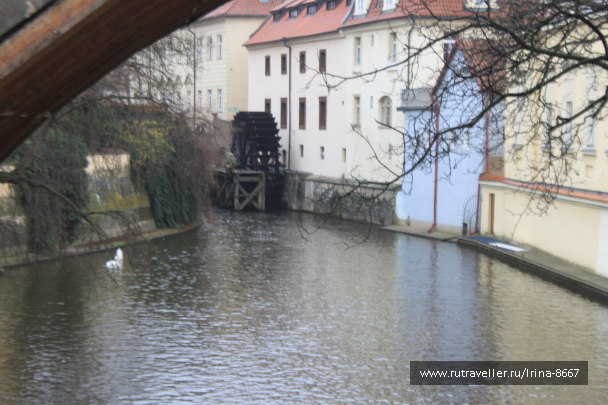 photo 1732507