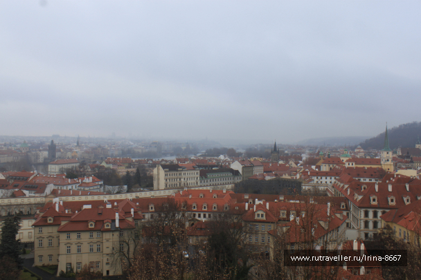 photo 1732511