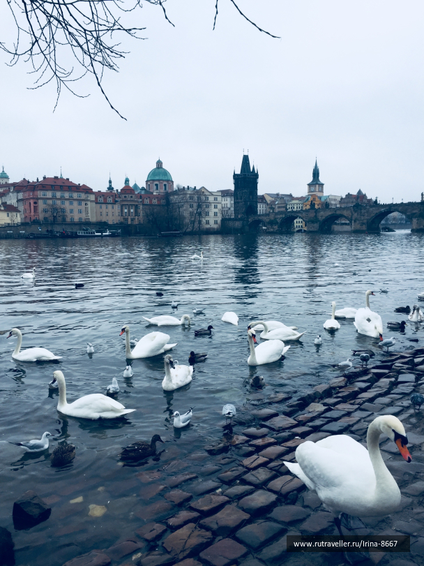 photo 1732616