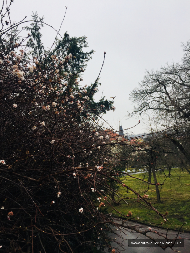 photo 1732622