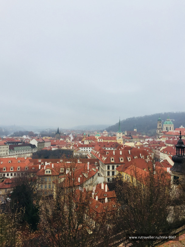 photo 1732629