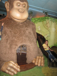 photo 417573