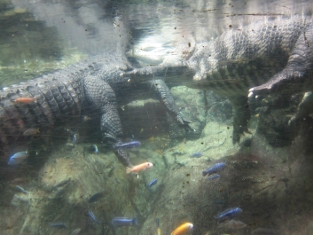photo 780944
