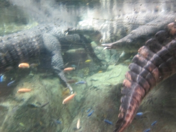 photo 780945