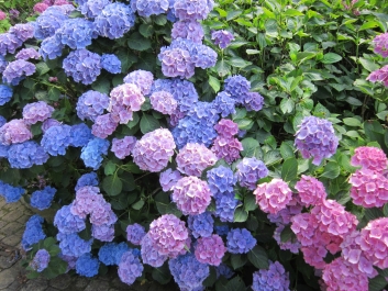 photo 780962