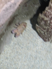 photo 780972
