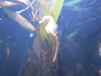photo 780974