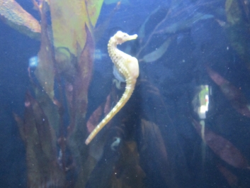 photo 780975