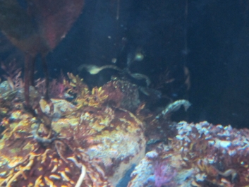 photo 780976