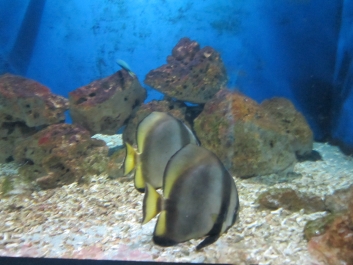 photo 780977