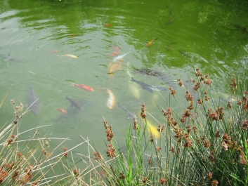 photo 780983