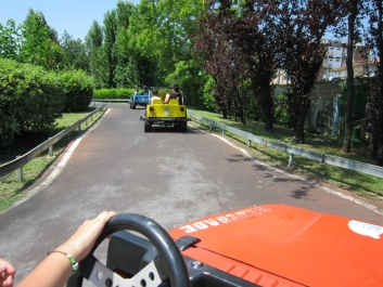 photo 781183