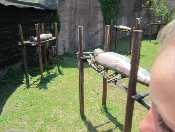 photo 781193