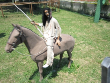 photo 781194