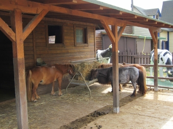 photo 781267