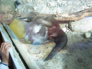 photo 782033