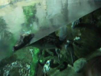 photo 782036