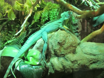 photo 782043