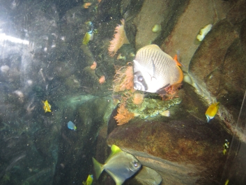 photo 782050