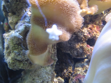 photo 782060