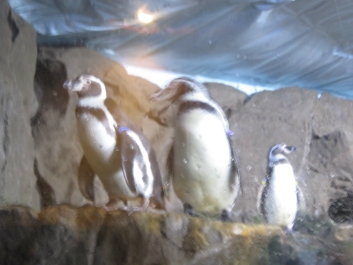 photo 782076