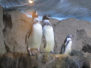 photo 782079