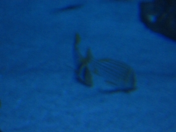 photo 782106